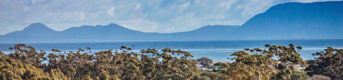 Helderberg Health Network